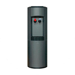 Essentiel s2 face grise